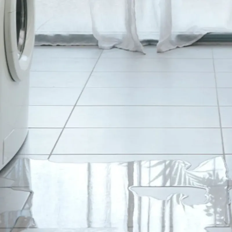 Appliance Leak Cleanup in Olivarez, TX