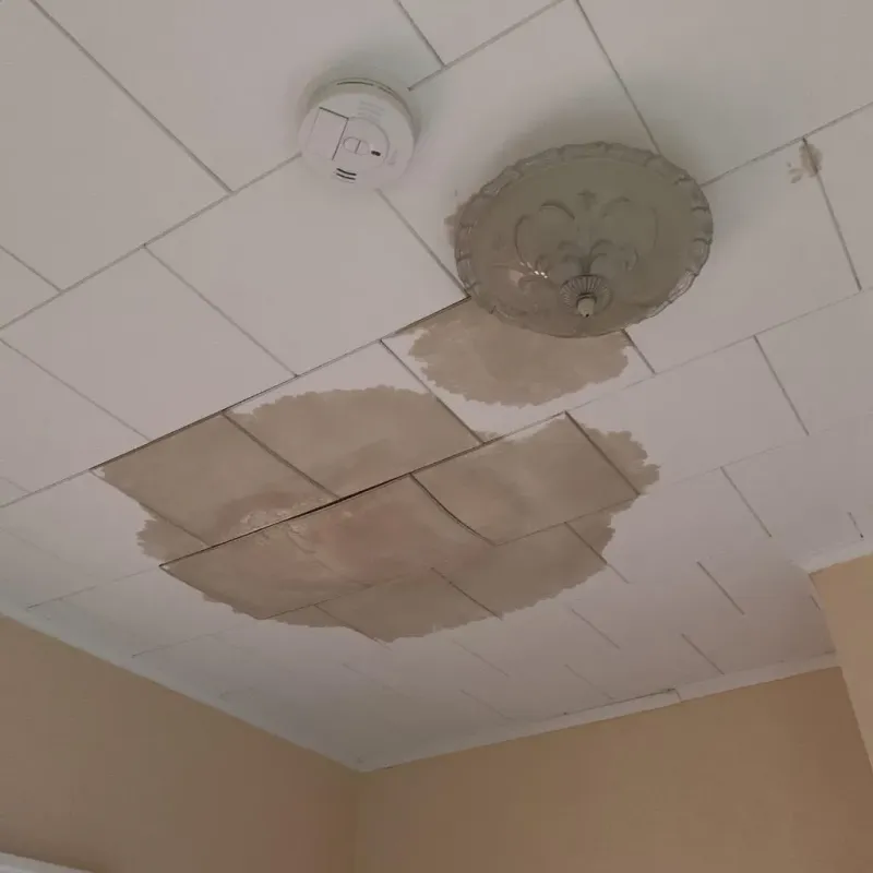 Ceiling Water Damage Repair in Olivarez, TX