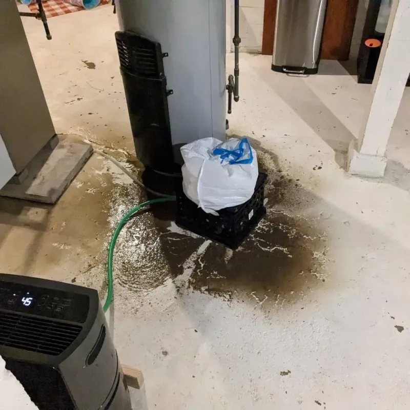 Sewage Backup Cleanup Service in Olivarez, TX